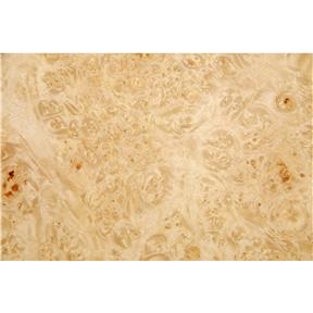 Sequenced Matched Maple Burl Veneer, 8 sq. ft.