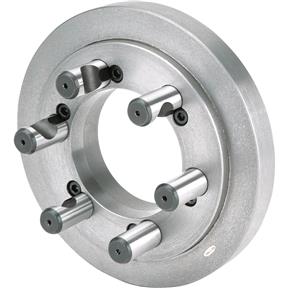 9" D1-6 Blank Back Plate
