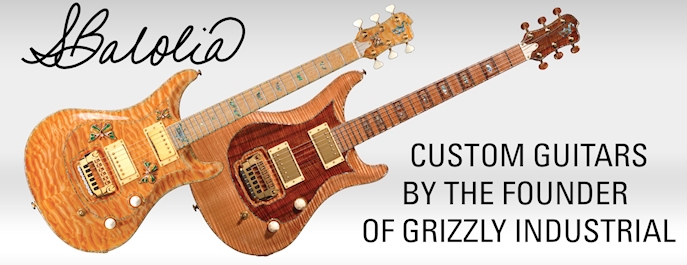 The president's guitars