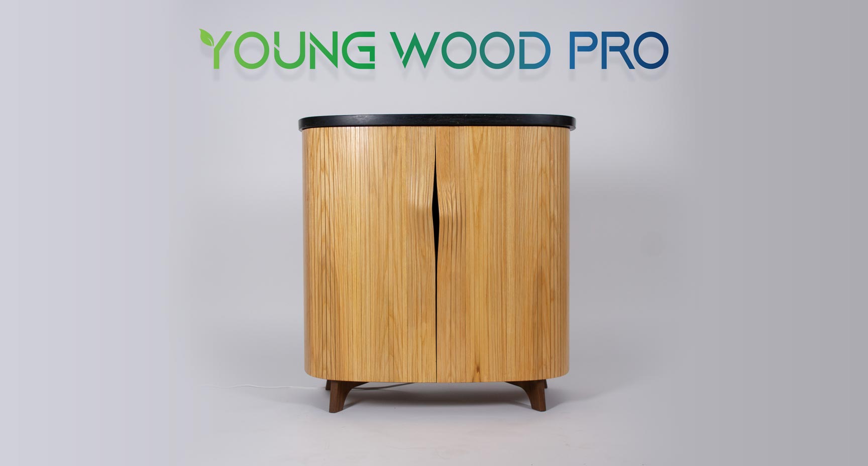 First Photo of The Winning Project for Young Wood Pro 2025 showing the closed cabinet