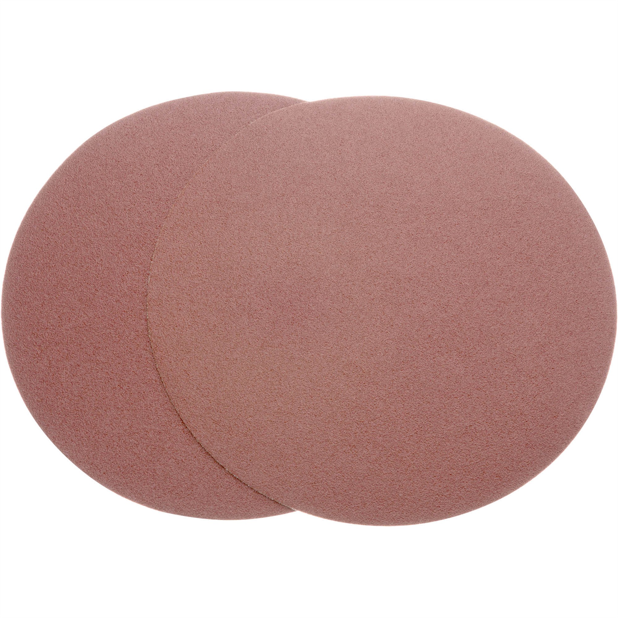 10" A/O Sanding Disc, 60 Grit PSA, 2 Pk. Grizzly Industrial