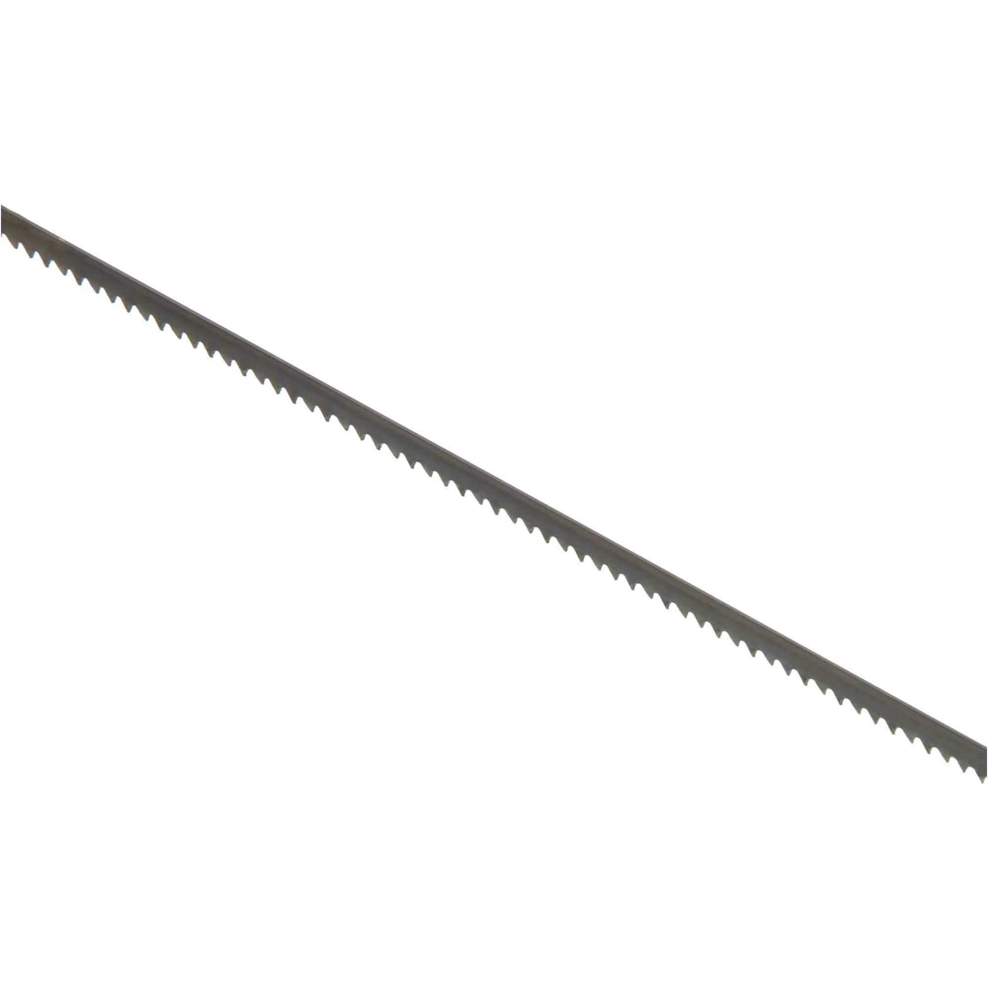 143" x 1/8" x .025" x 14 TPI HP Bandsaw Blade at