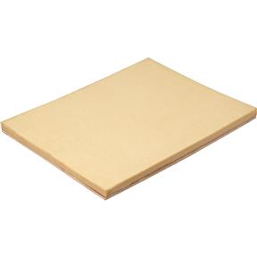 PRO-STIK 12" x 15" x 3/4" Belt Cleaner