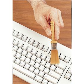 Brush For Precision Instruments